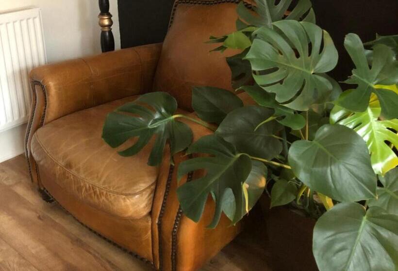 Bed and Breakfast High Tor Guest House