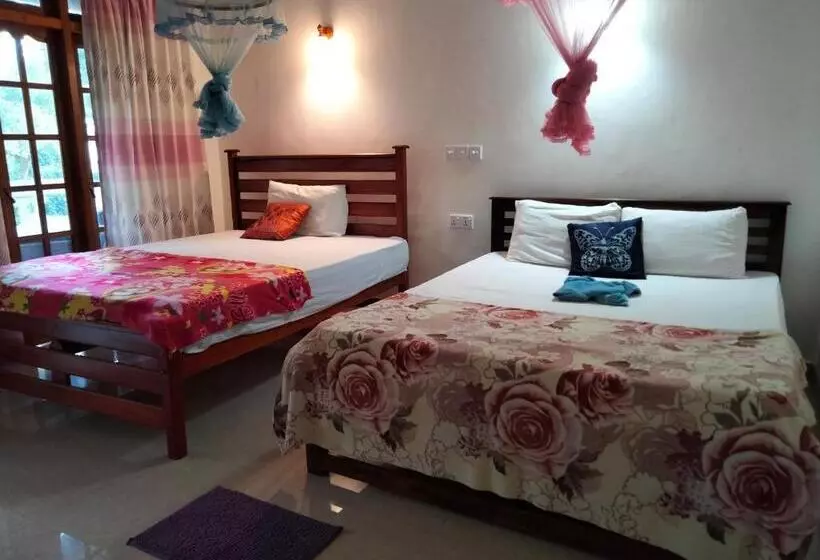 ホテル Ella Sunrise