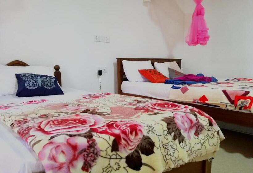 ホテル Ella Sunrise