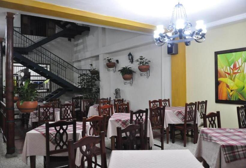 هتل Valdivia Plaza