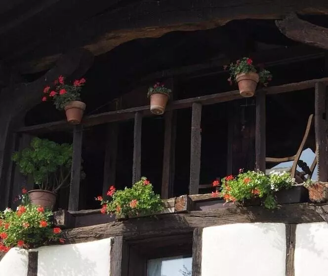 ユースホステル Otardi