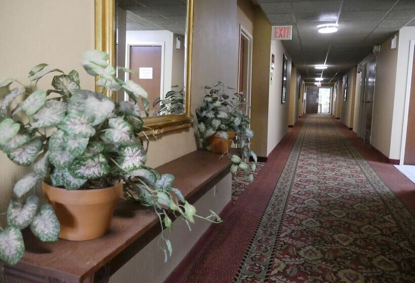 ベッドアンドブレックファースト Motel Sun Inn