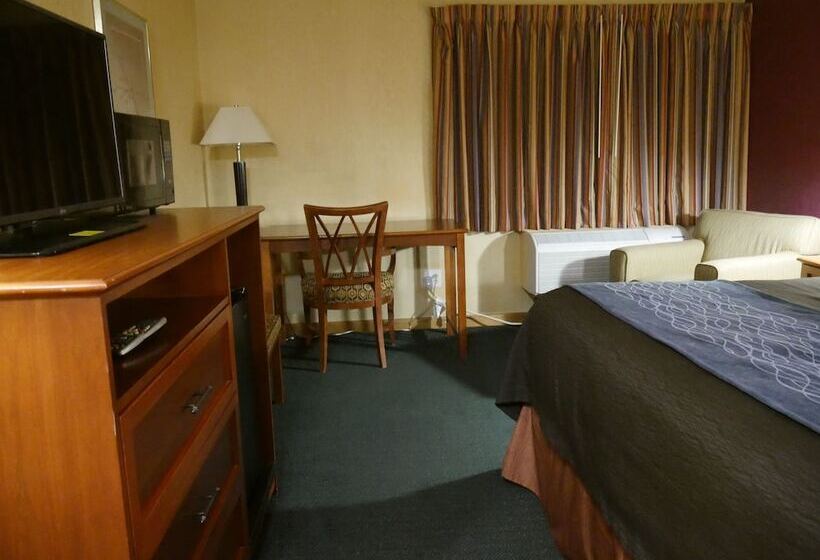 ベッドアンドブレックファースト Motel Sun Inn