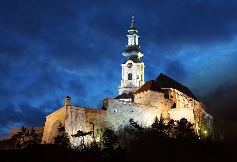 Boutique Hotel11 With Rooftop Spa