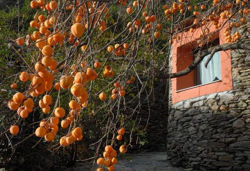 ホテル Masia D'en Valentí