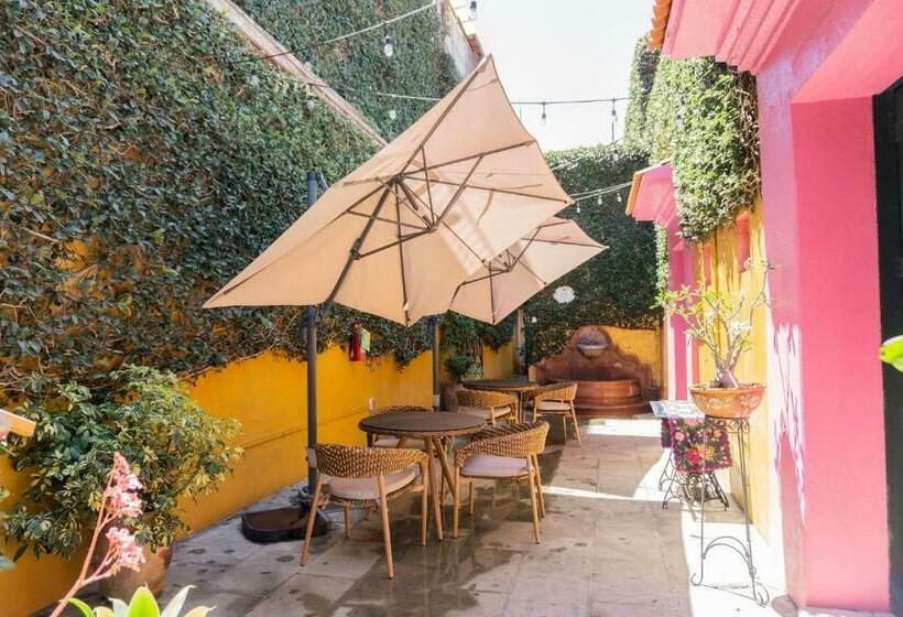 Отель Casa Pereyra