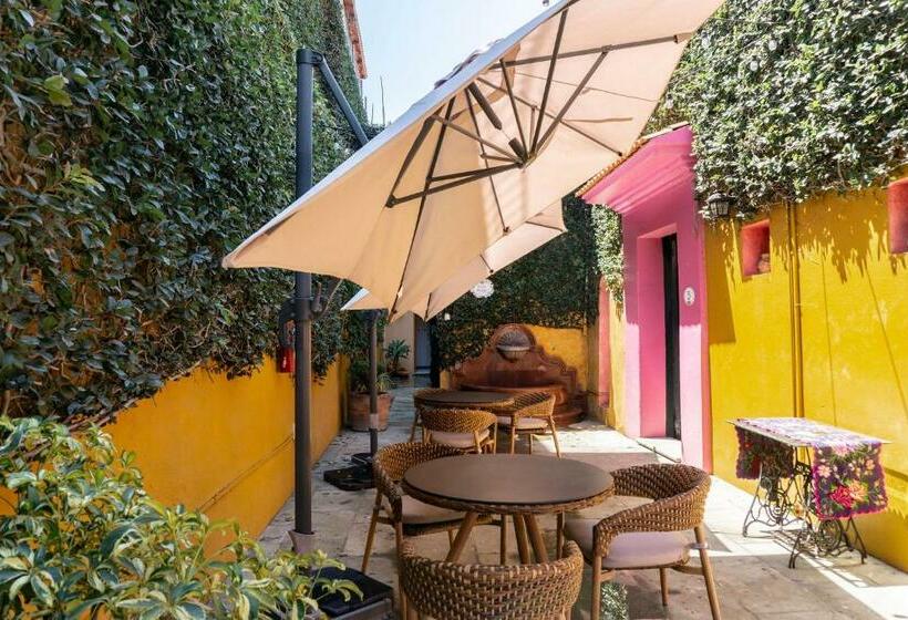 Отель Casa Pereyra