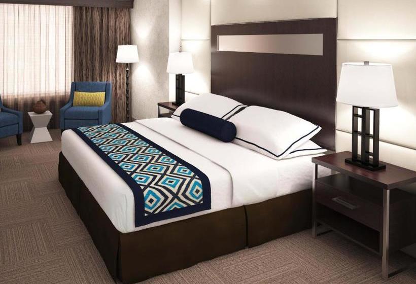 هاستل Town View