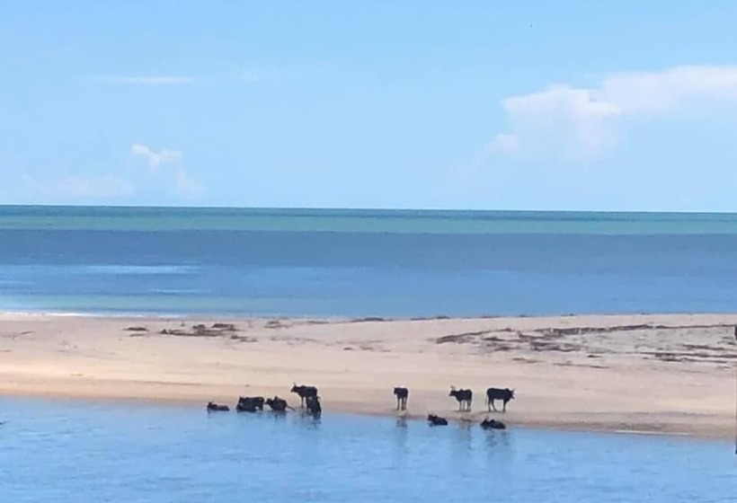 تختخواب و صبحانه Pap's Chambres D'hôtes