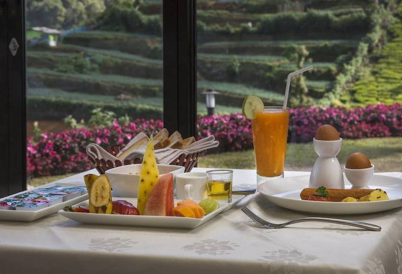 בית מלון כפרי The Cheriz Boutique