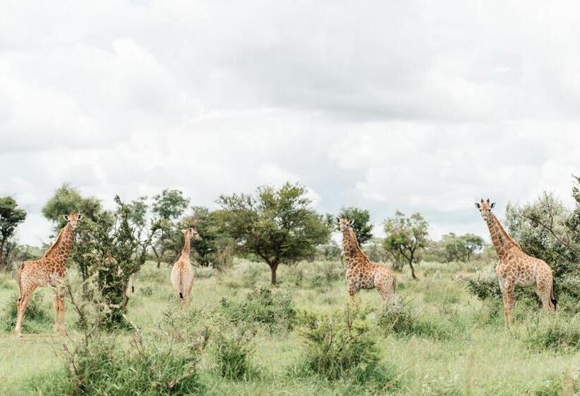 Resort Monate Game Lodge