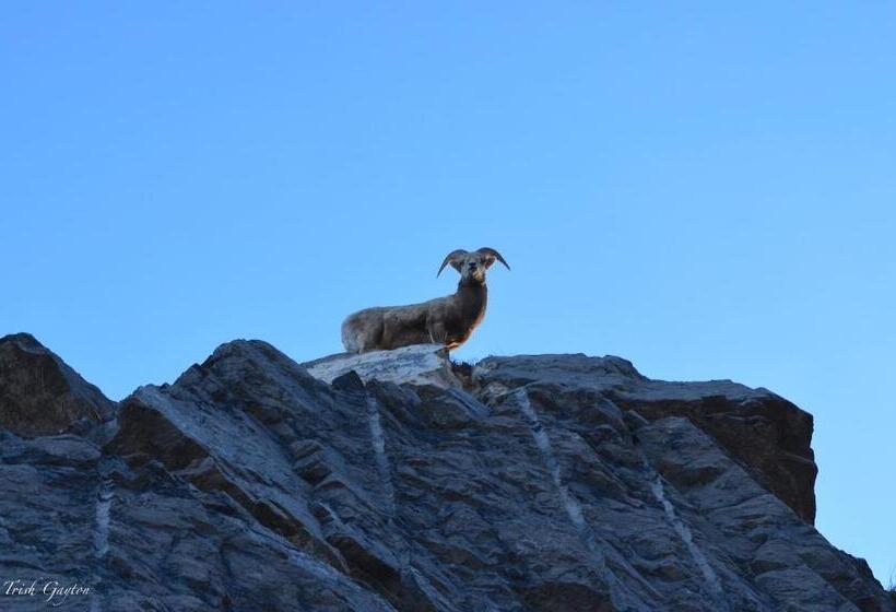 منتجع Prc Annex Pet Friendly