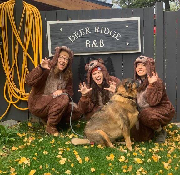 Deer Ridge B&b