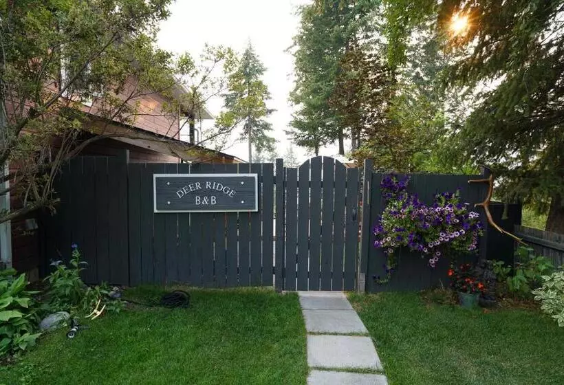 Deer Ridge B&b