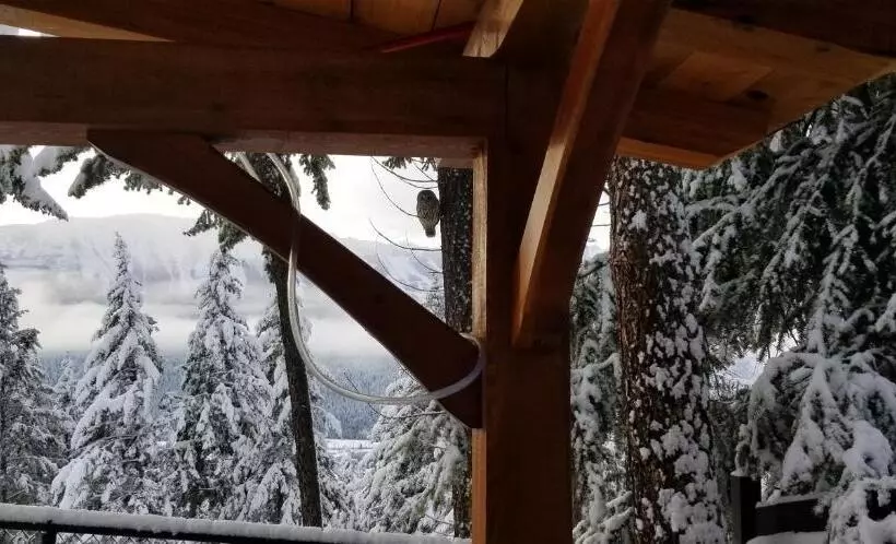 Deer Ridge B&b