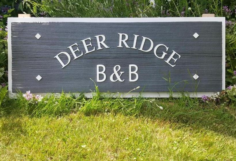 Deer Ridge B&b