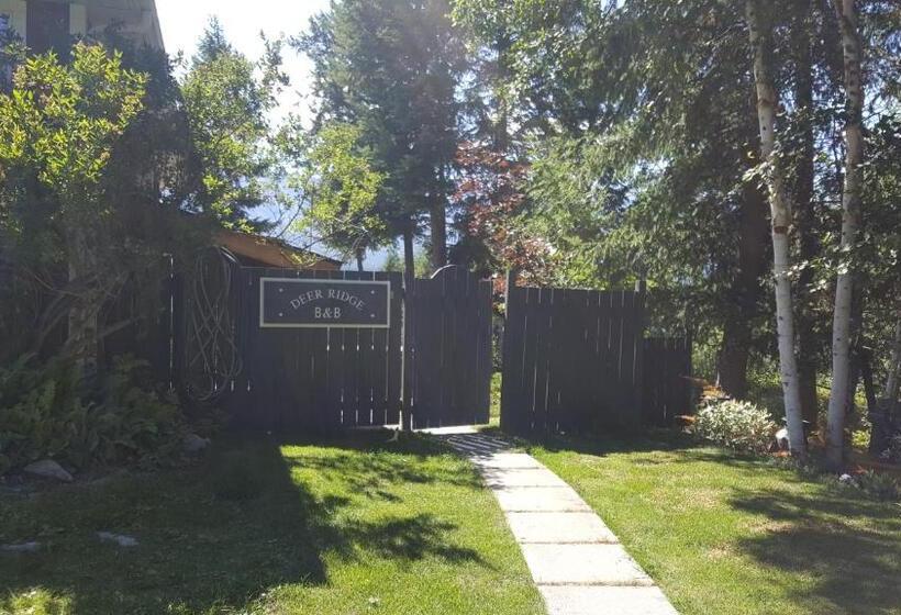 Deer Ridge B&b