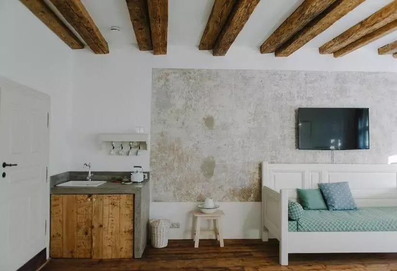 ホテル Miss Sophie S Olomouc  Boutique