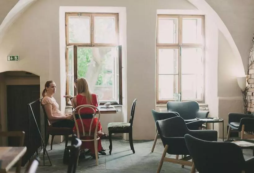 ホテル Miss Sophie S Olomouc  Boutique