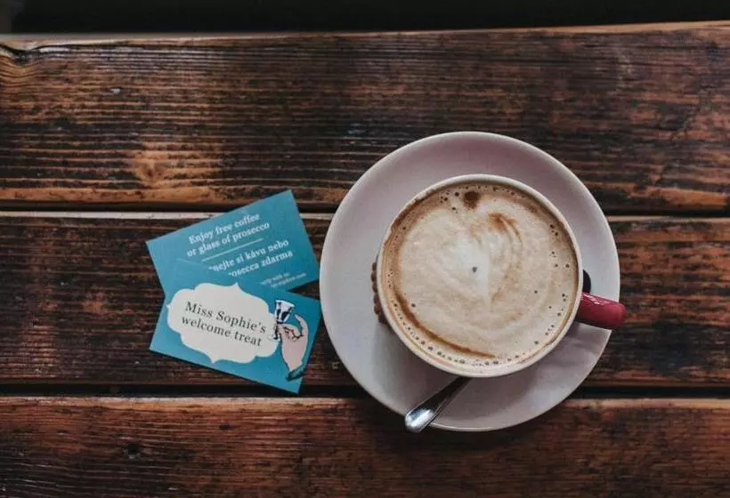 ホテル Miss Sophie S Olomouc  Boutique