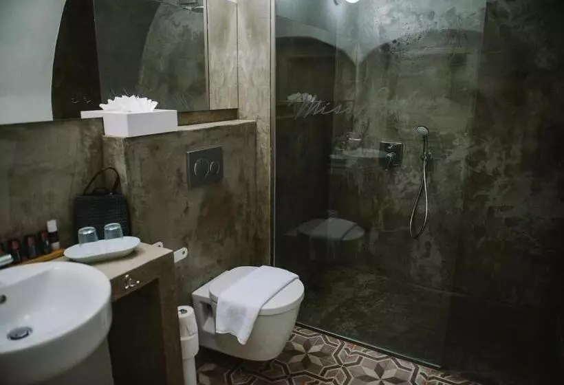 ホテル Miss Sophie S Olomouc  Boutique