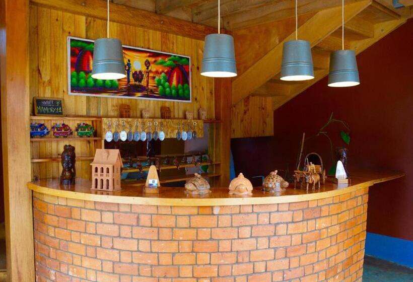 Le Chat O Park Hotel Ivato Airport Navette Gratuite H24