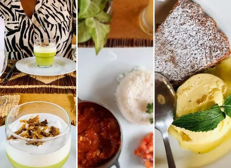 Le Chat O Park Hotel Ivato Airport Navette Gratuite H24
