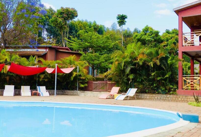 Le Chat O Park Hotel Ivato Airport Navette Gratuite H24