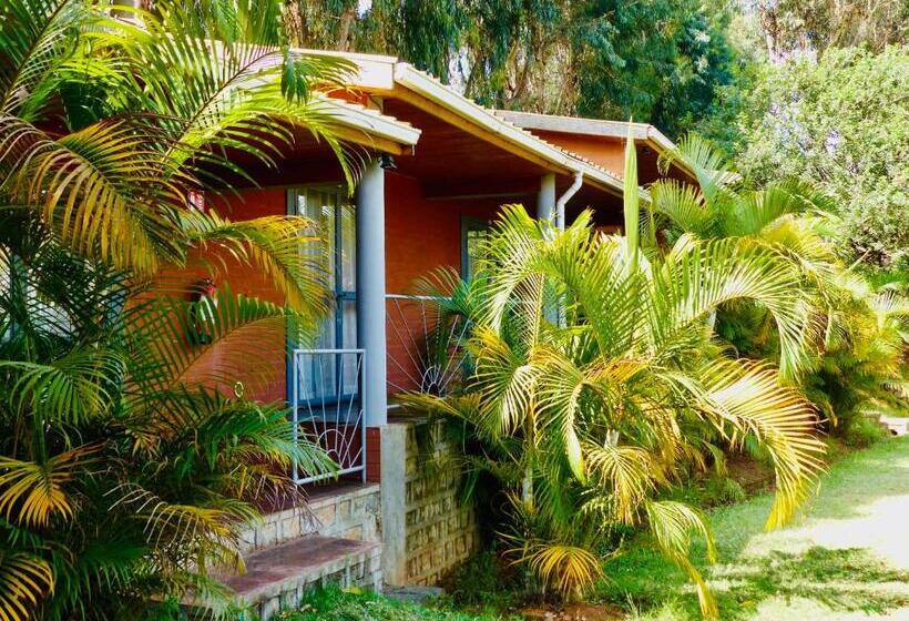 Le Chat O Park Hotel Ivato Airport Navette Gratuite H24