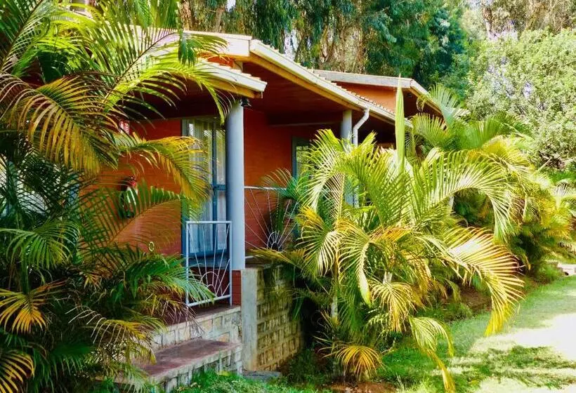 Le Chat O Park Hotel Ivato Airport Navette Gratuite H24