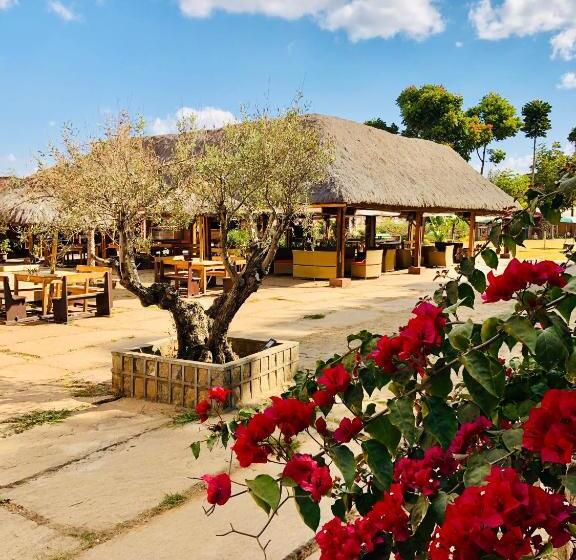 Le Chat O Park Hotel Ivato Airport Navette Gratuite H24