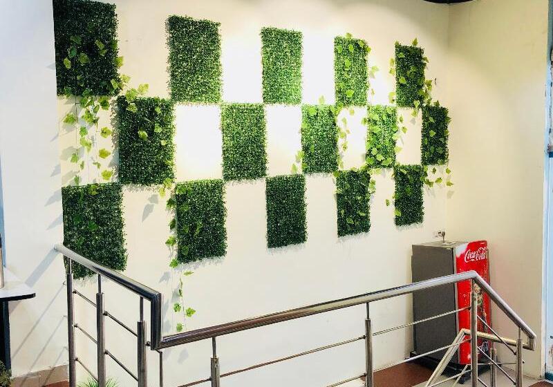 هاستل Backpackers Nest