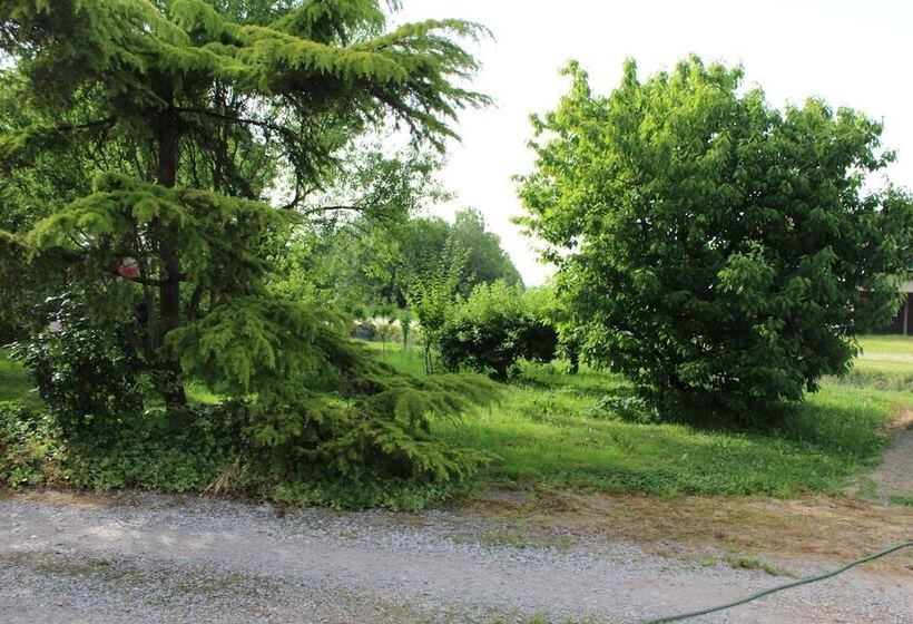 B&b Airport Venice Diego 2