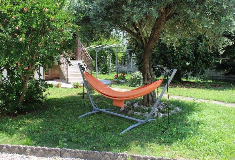 B&b Airport Venice Diego 2