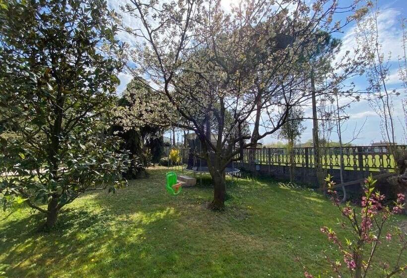 B&b Airport Venice Diego 2