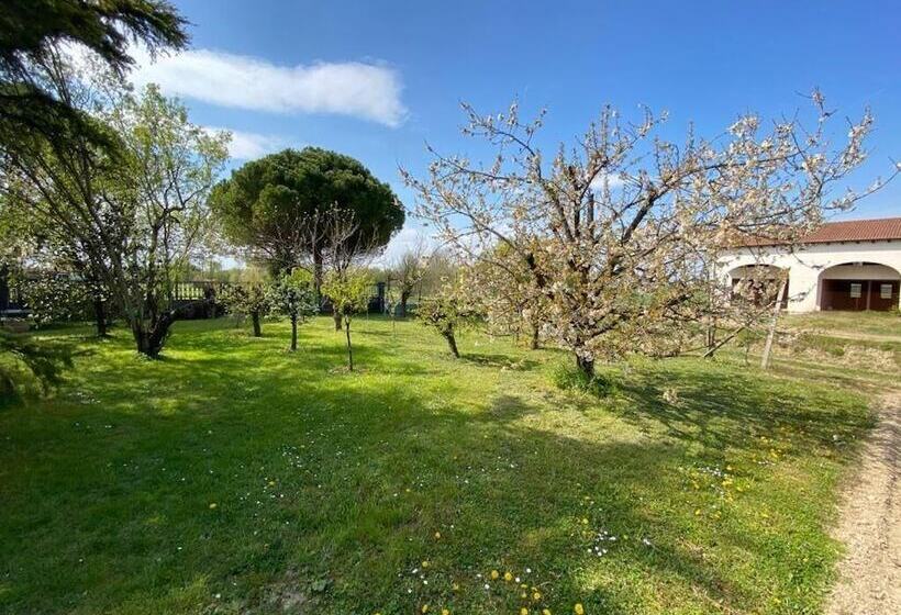 B&b Airport Venice Diego 2