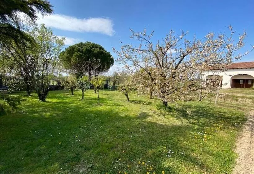 B&b Airport Venice Diego 2