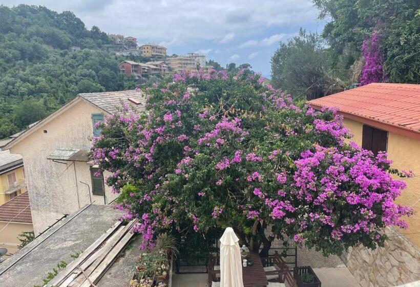 Bed and Breakfast Ca' Di Bianca