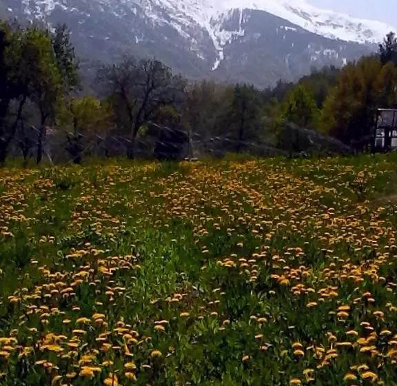 Bed And Breakfast Ca D'pandin