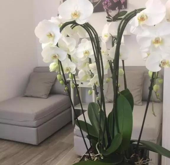 Aamiaismajoitus (B&B) Ca' Du Ale