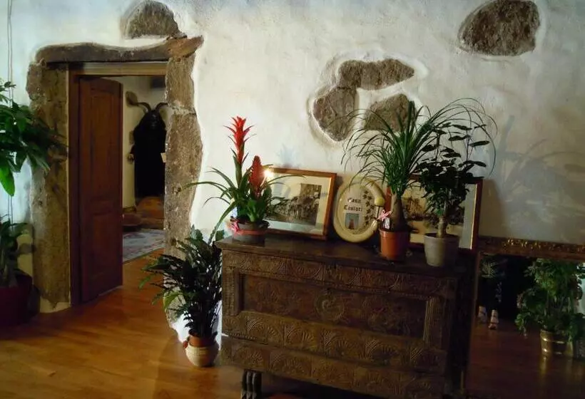 تختخواب و صبحانه Casa Castori