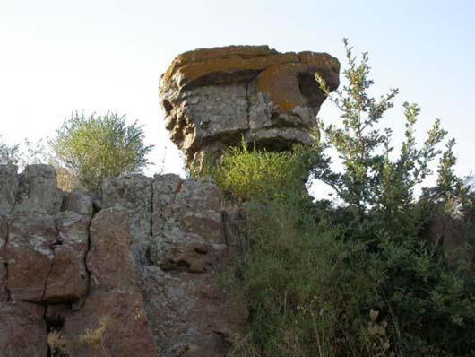 צימר Casa Castori