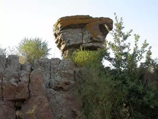 تختخواب و صبحانه Casa Castori