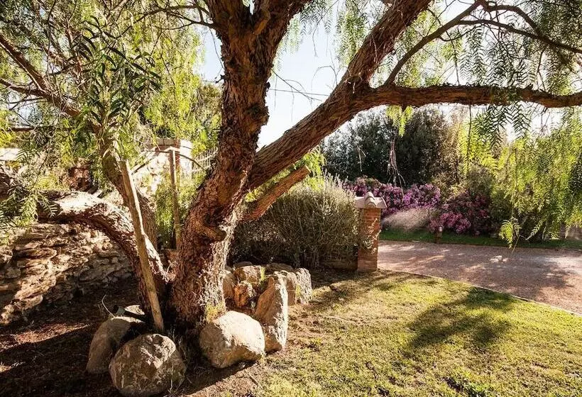 Aamiaismajoitus (B&B) Casalventodimare E Tramontana