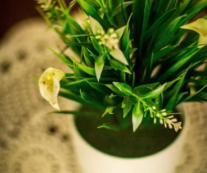 هتل Simon S Place