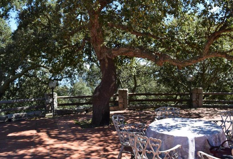 فندق Soffio Di Vento