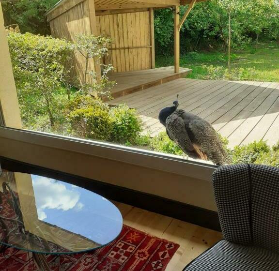 مبيت وإفطار Chambres D Hôtes Le Petit Sully