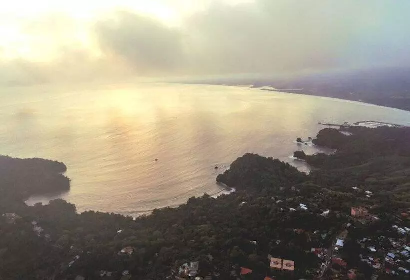 ホテル Selina Manuel Antonio   Hostel