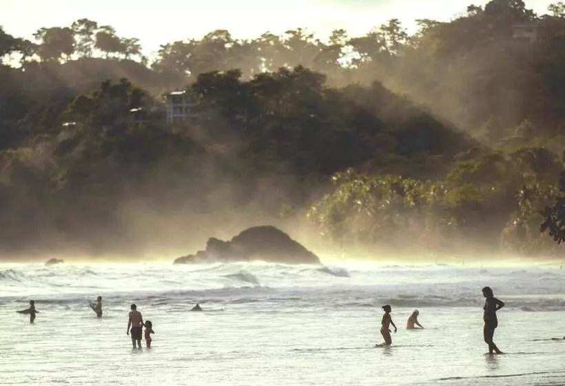 ホテル Selina Manuel Antonio   Hostel
