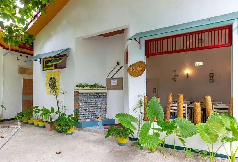 پانسیون Dream Inn At Thulusdhoo
